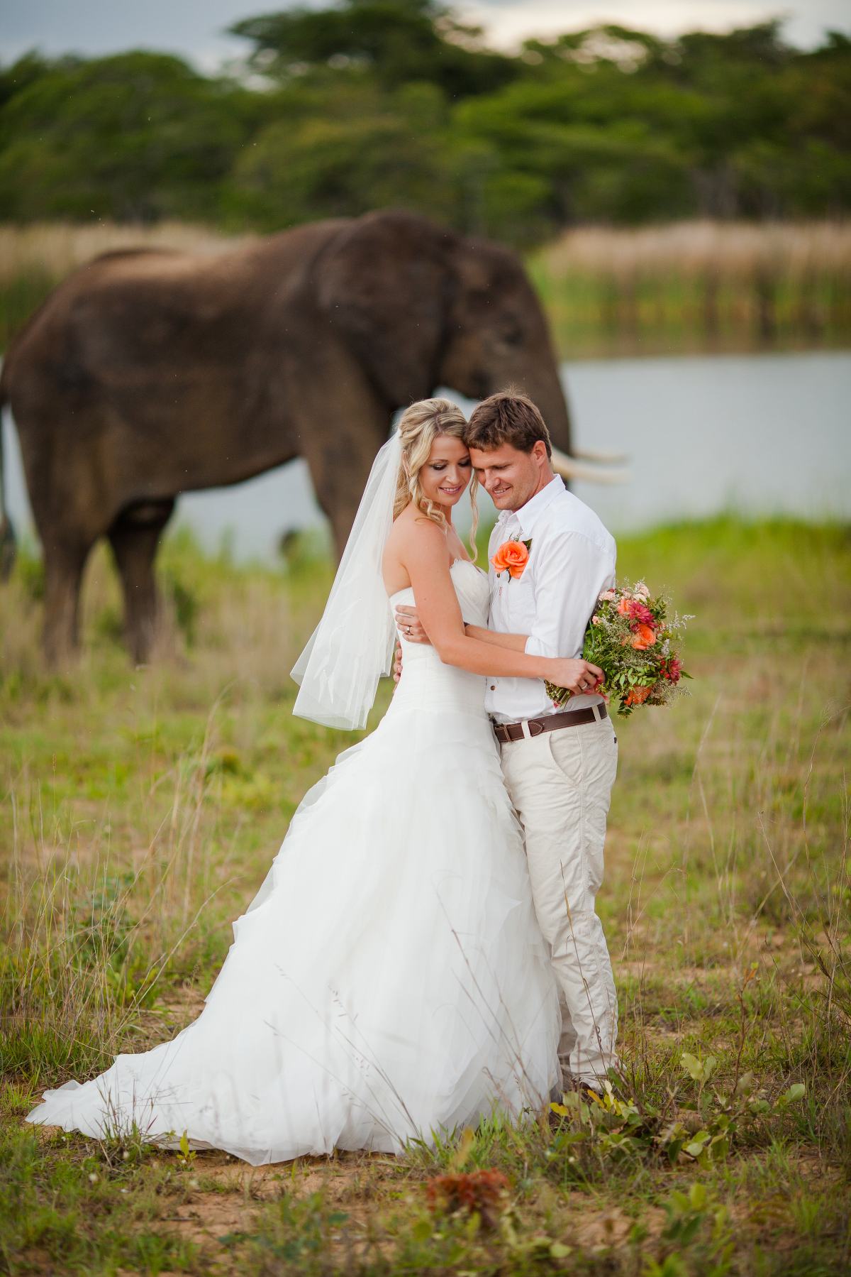 Zimbabwe Destination Wedding Elephants Included 1095