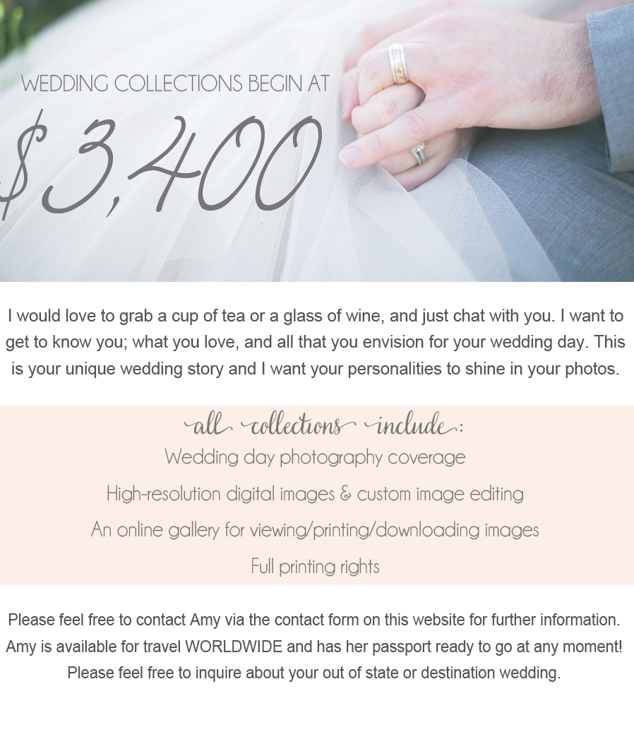 Pricing For Colorado Wedding Photographer Photographers Pricing