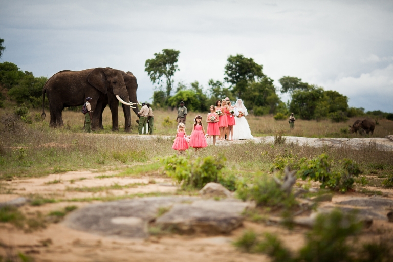 Zimbabwe Destination Wedding, Elephants included