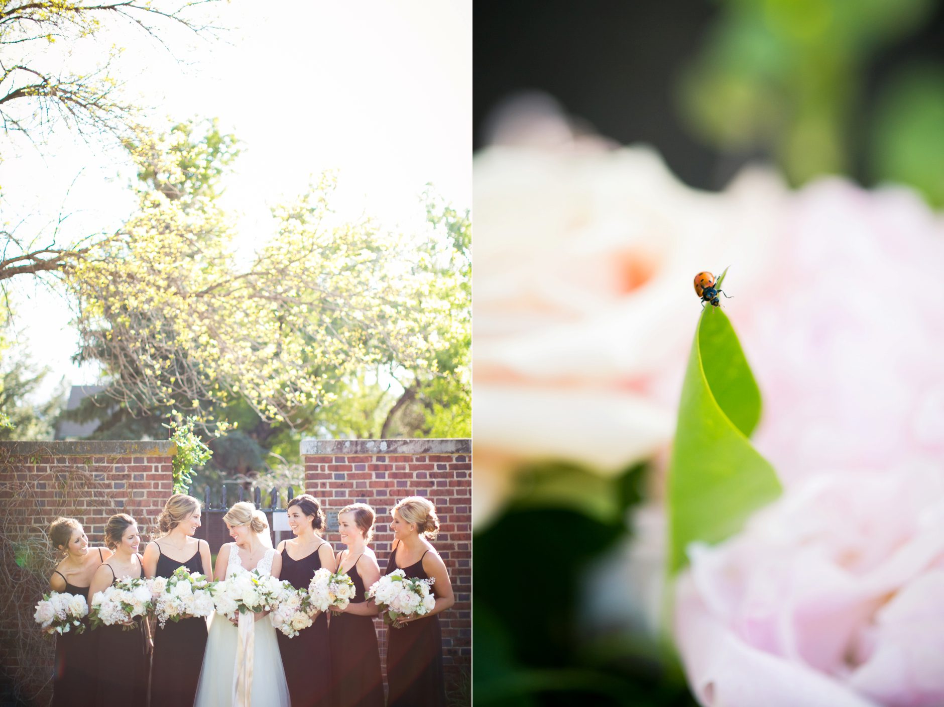 Chapel of our Saviour Colorado Springs Wedding, Photography by Amy Caroline Photography._0047