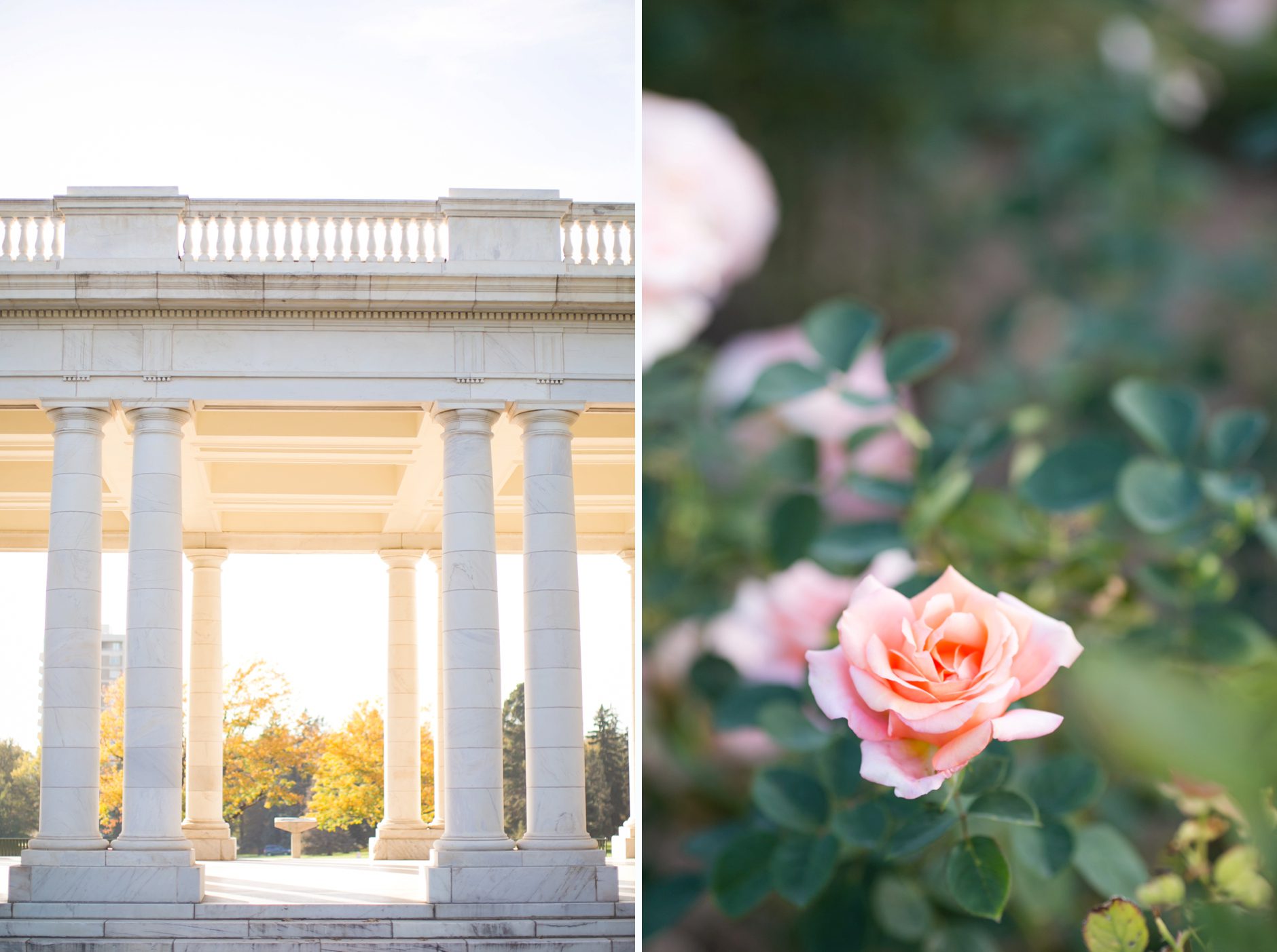 Denver Surprise Proposal at Cheesman Park, Denver Engagement Photographers, Amy Caroline Photography_0004
