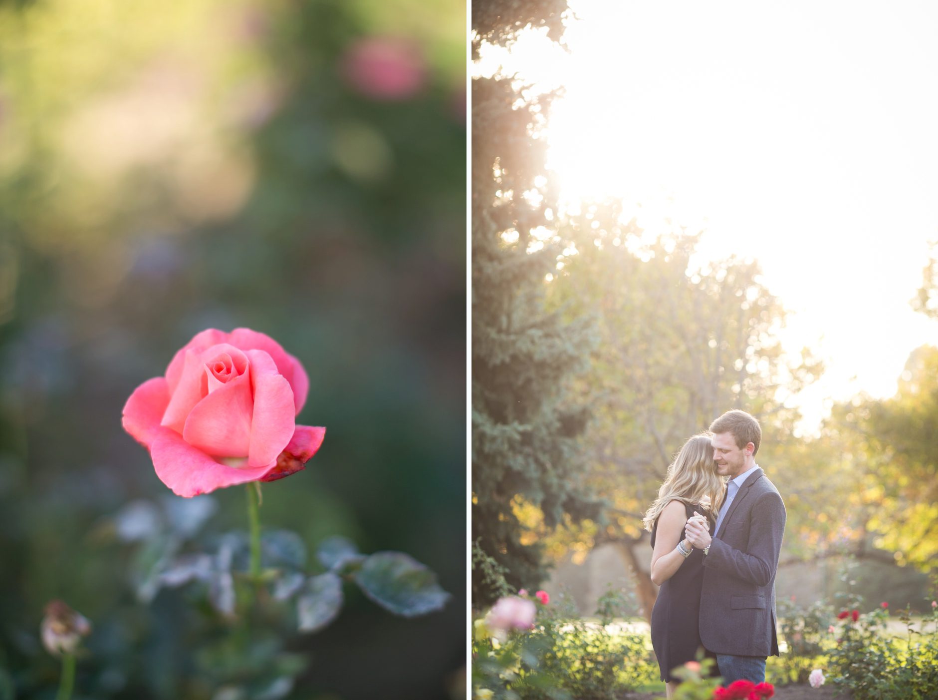 Denver Surprise Proposal at Cheesman Park, Denver Engagement Photographers, Amy Caroline Photography_0009