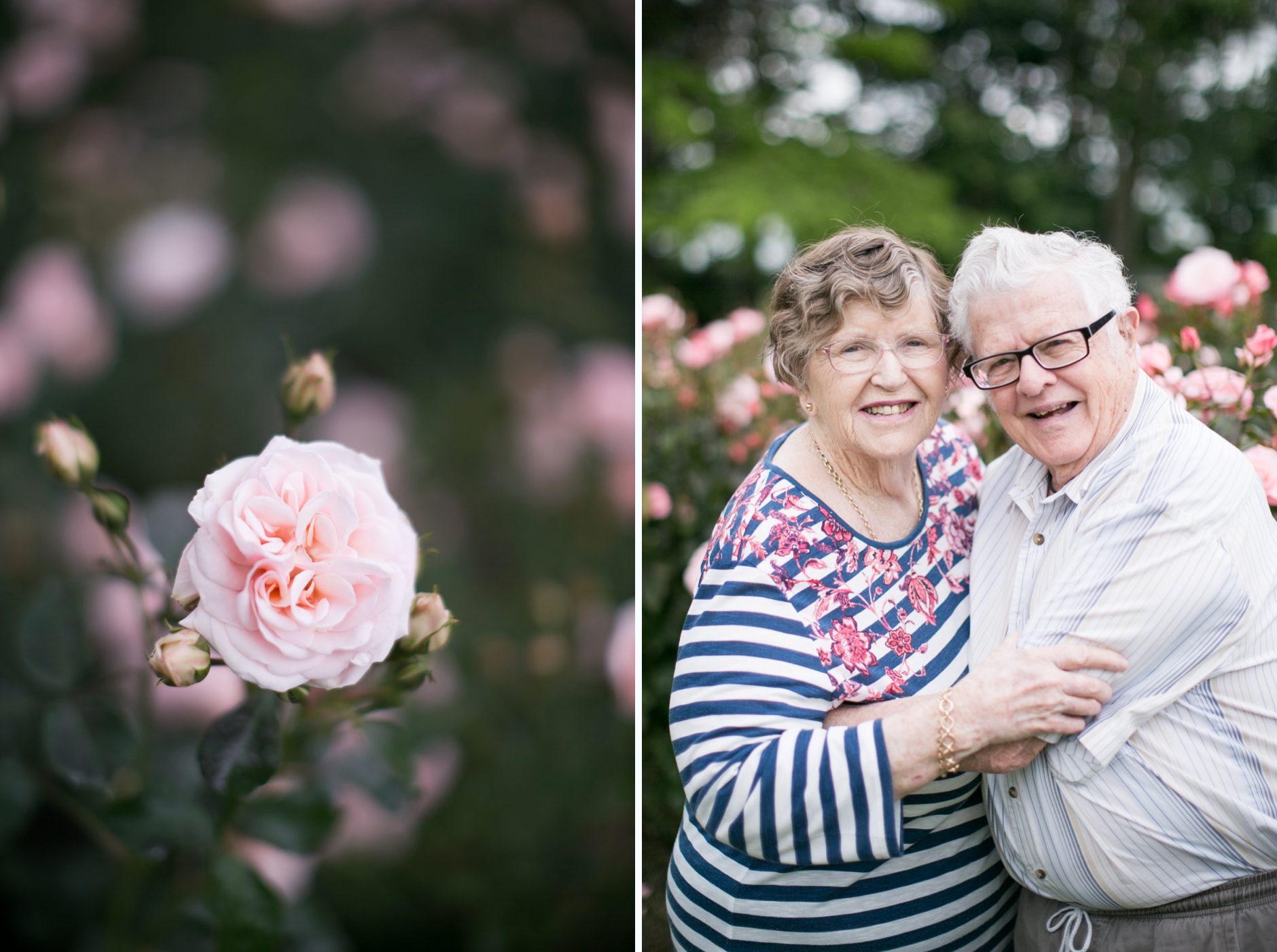 Romantic Grandparent Esplanade portraits, Palmerston North Manawatu photographers 