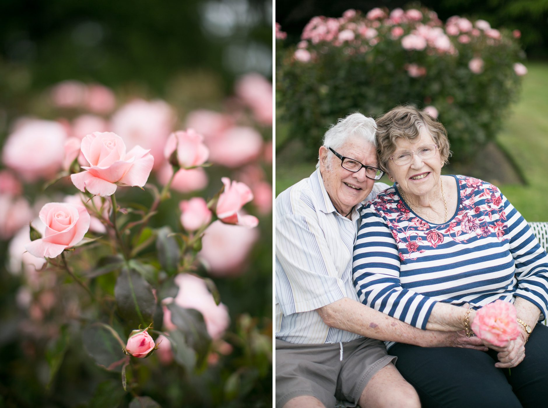 Romantic Rose Garden Grandparent pictures, Palmerston North Esplanade Pictures, Amy Caroline Photogrpahy_0010