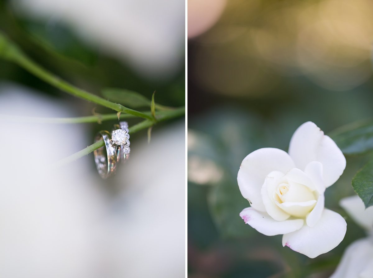 Beautiful wedding details in Sonoma California, Glenn Ellen CA wedding photographers, Amy Caroline Photography