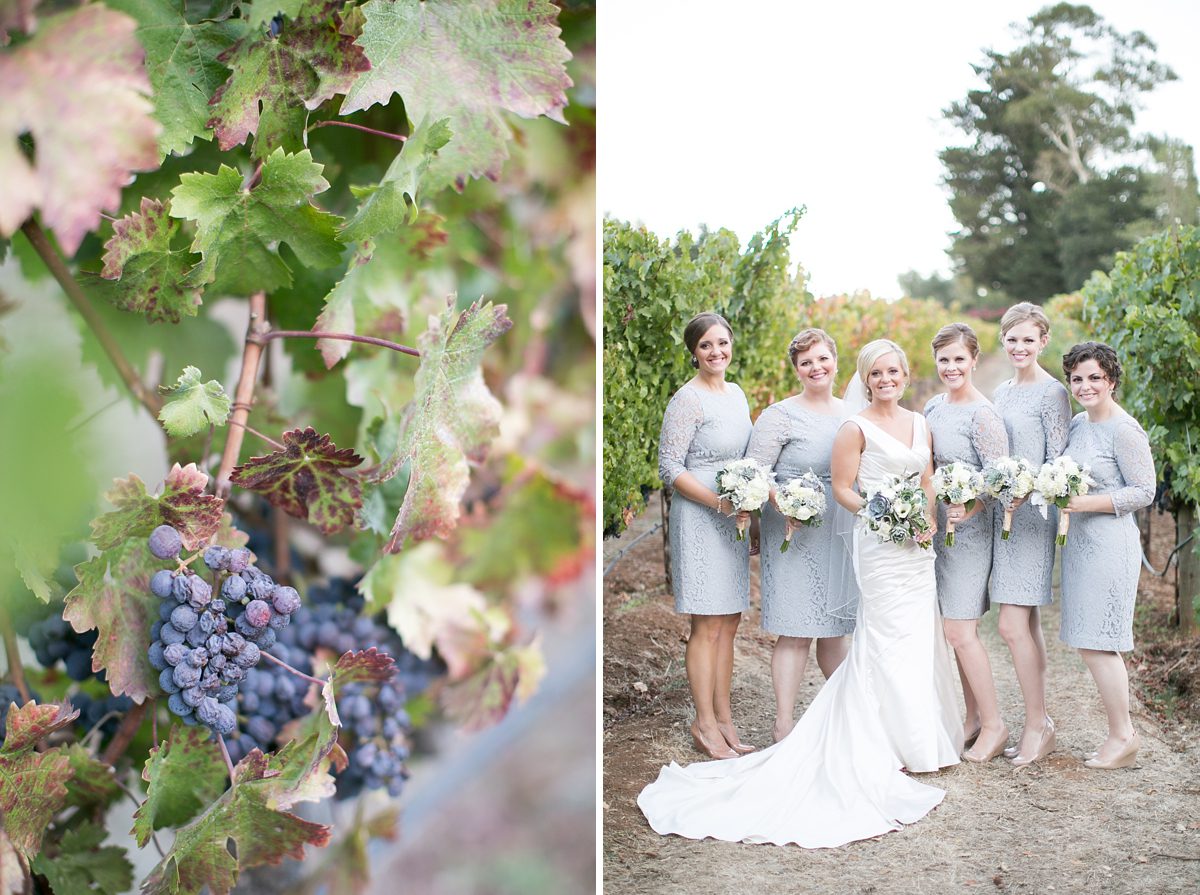 Sonoma California Destination Vineyard Wedding, Benzinger Sonoma Wedding Pictures, Amy Caroline Photography
