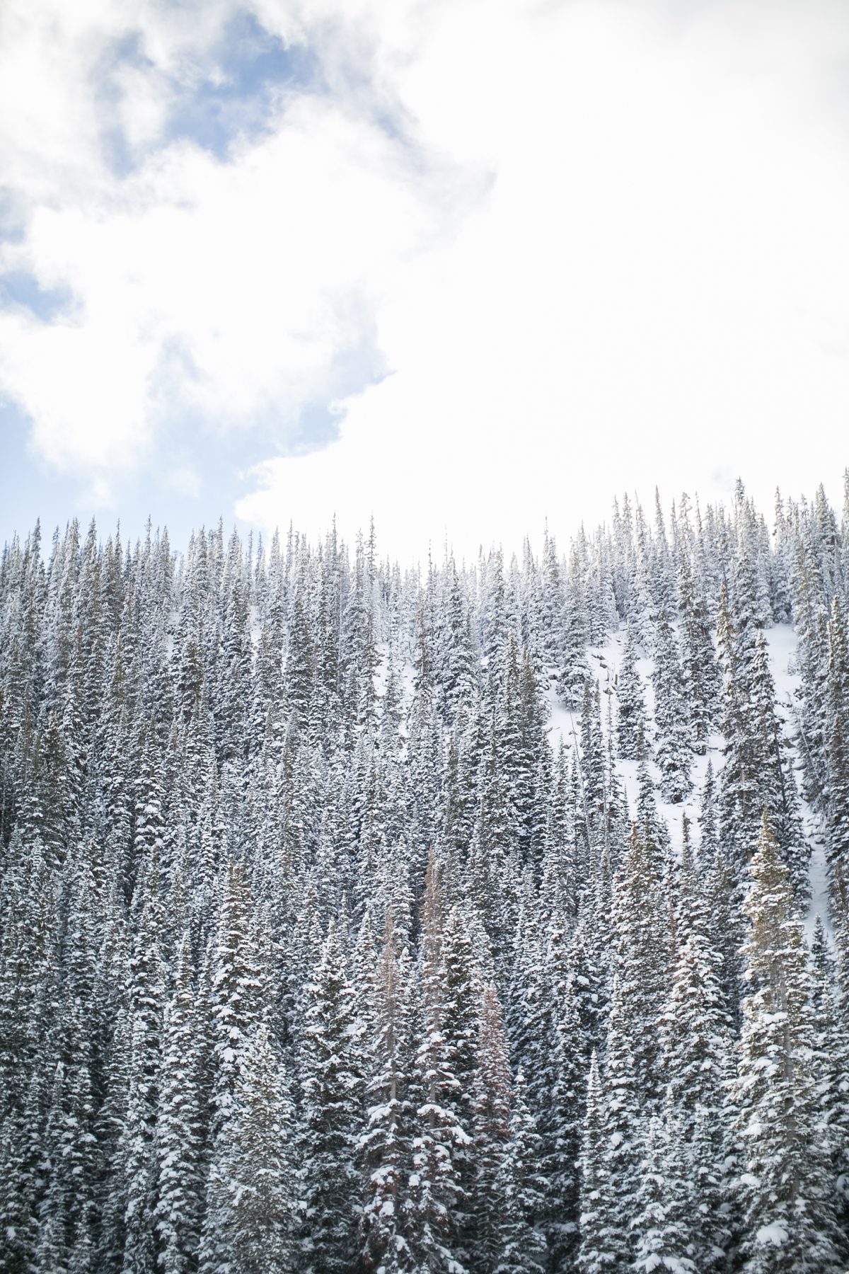 Colorado Devils Thumb Ranch Winter Mountain Wedding, Amy Caroline Photography