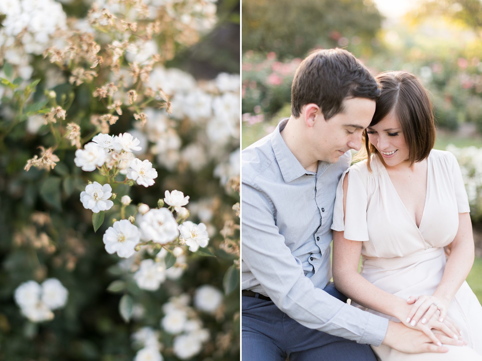Romantic and Elegant Colorado Rose Garden Engagement Pictures, Denver Wedding Photographers, Amy Caroline Photography
