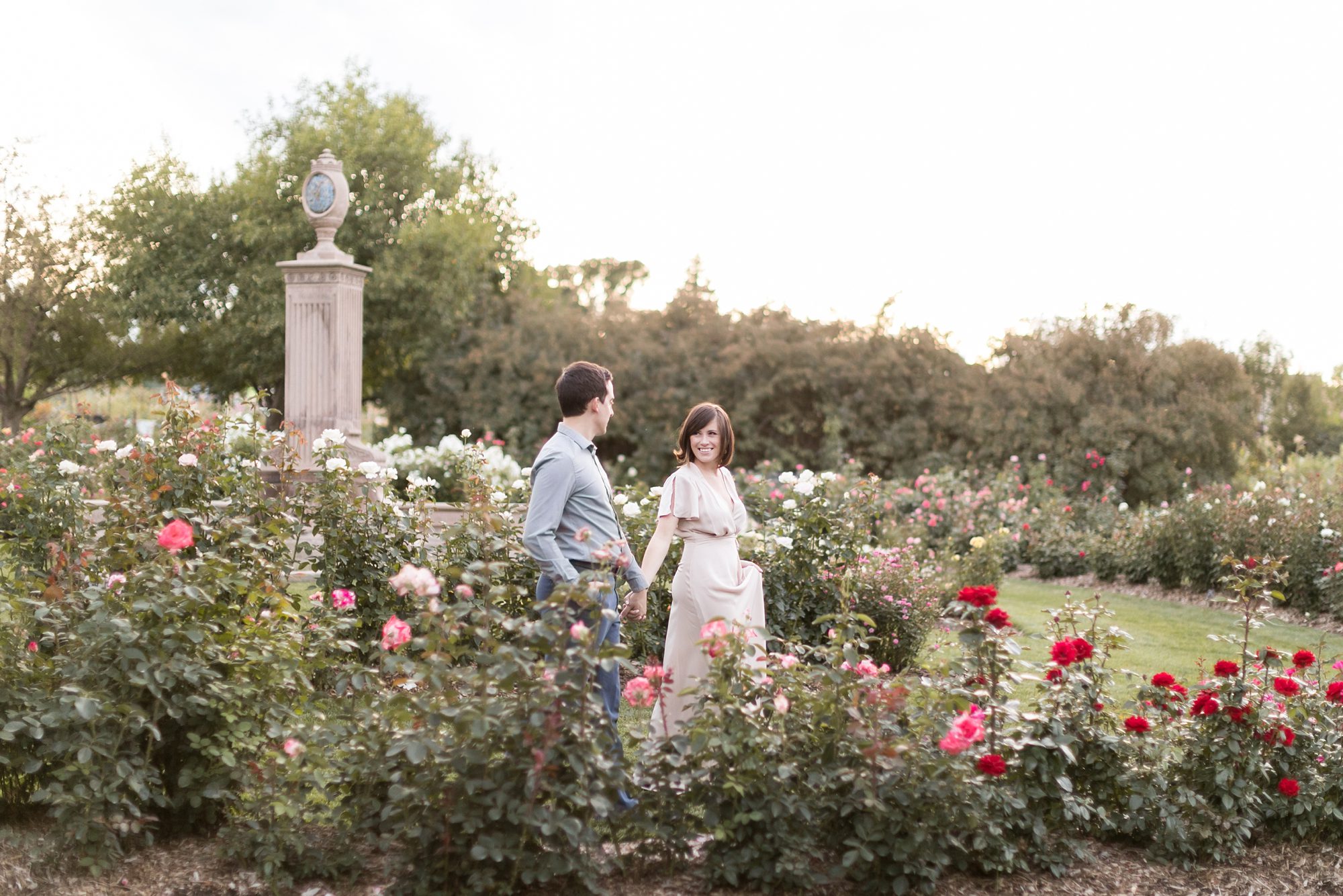 Rose Garden Engagement Pictures, Amy Caroline Photography