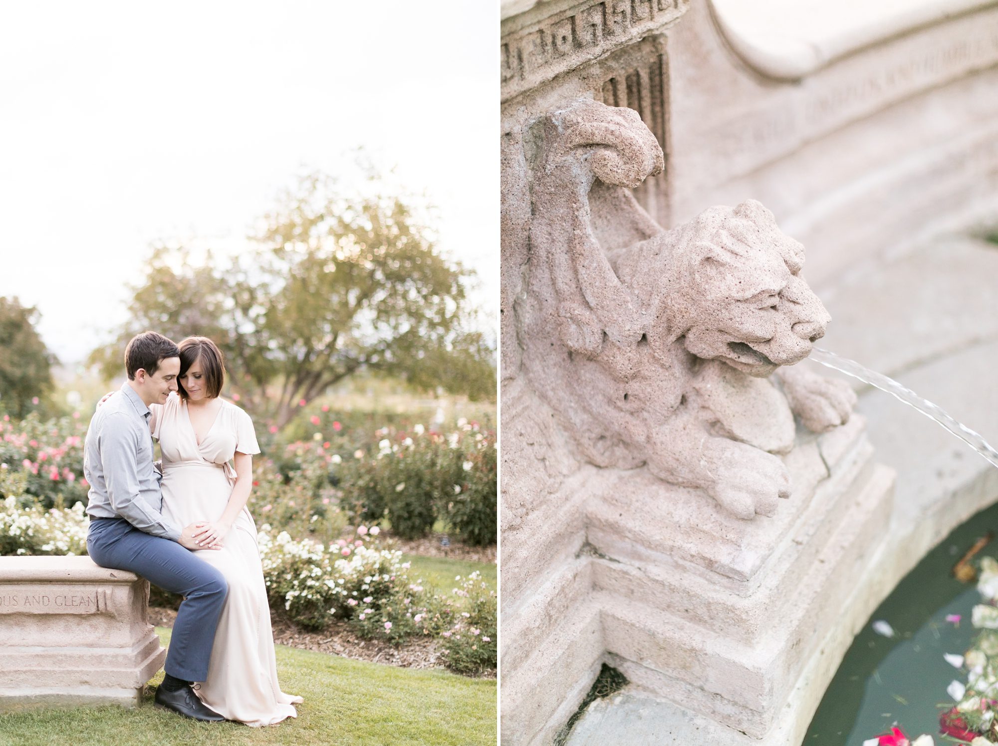 Romantic and Elegant Colorado Rose Garden Engagement Pictures, Denver Wedding Photographers, Amy Caroline Photography