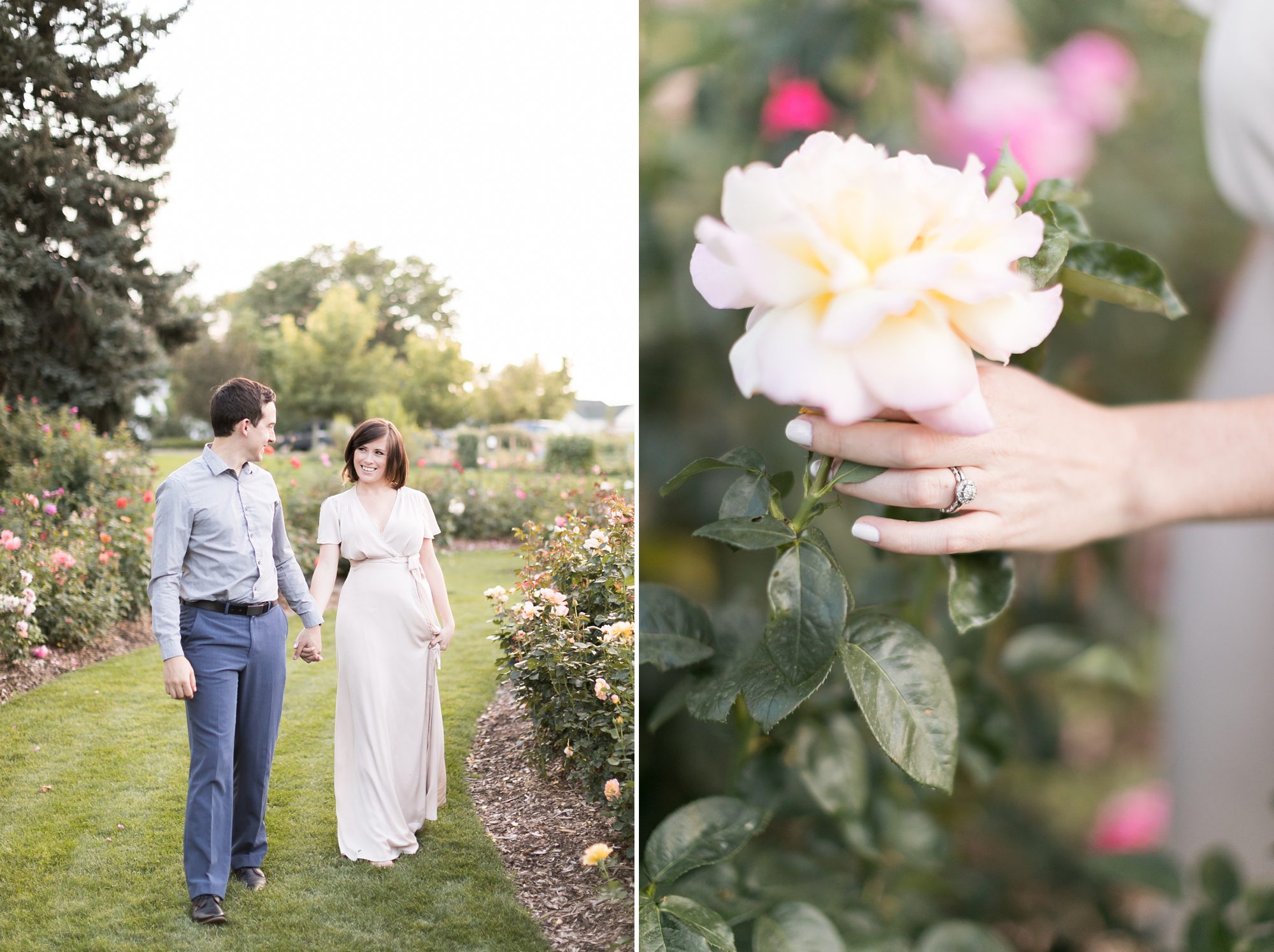 Romantic and Elegant Colorado Rose Garden Engagement Pictures, Denver Wedding Photographers, Amy Caroline Photography