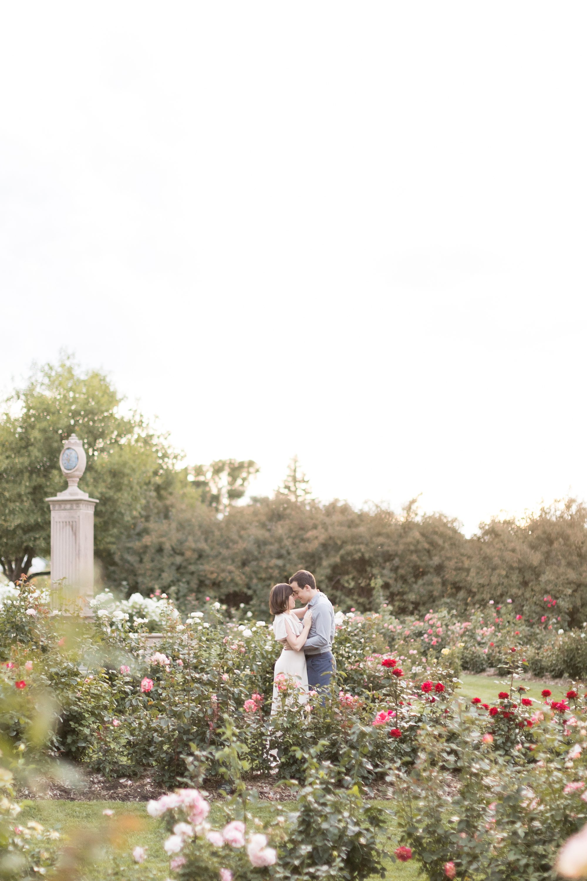 Super Romantic Colorado Rose Garden Engagement Pictures, Amy Caroline Photography