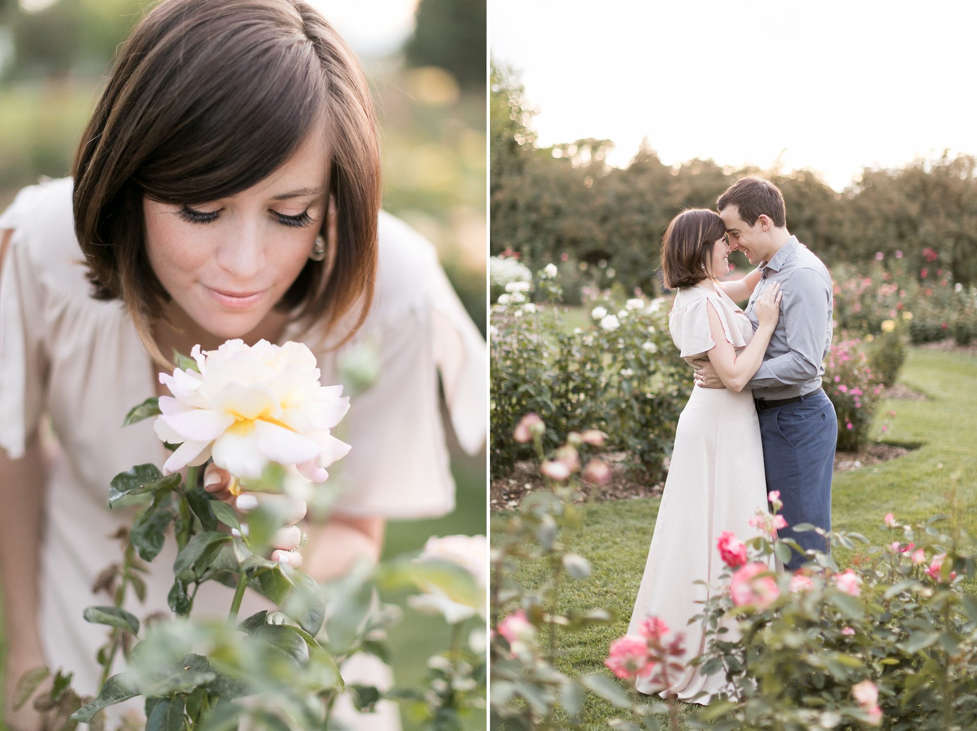 Romantic Rose Garden Engagement Pictures, Denver Wedding Photographers, Amy Caroline Photography 