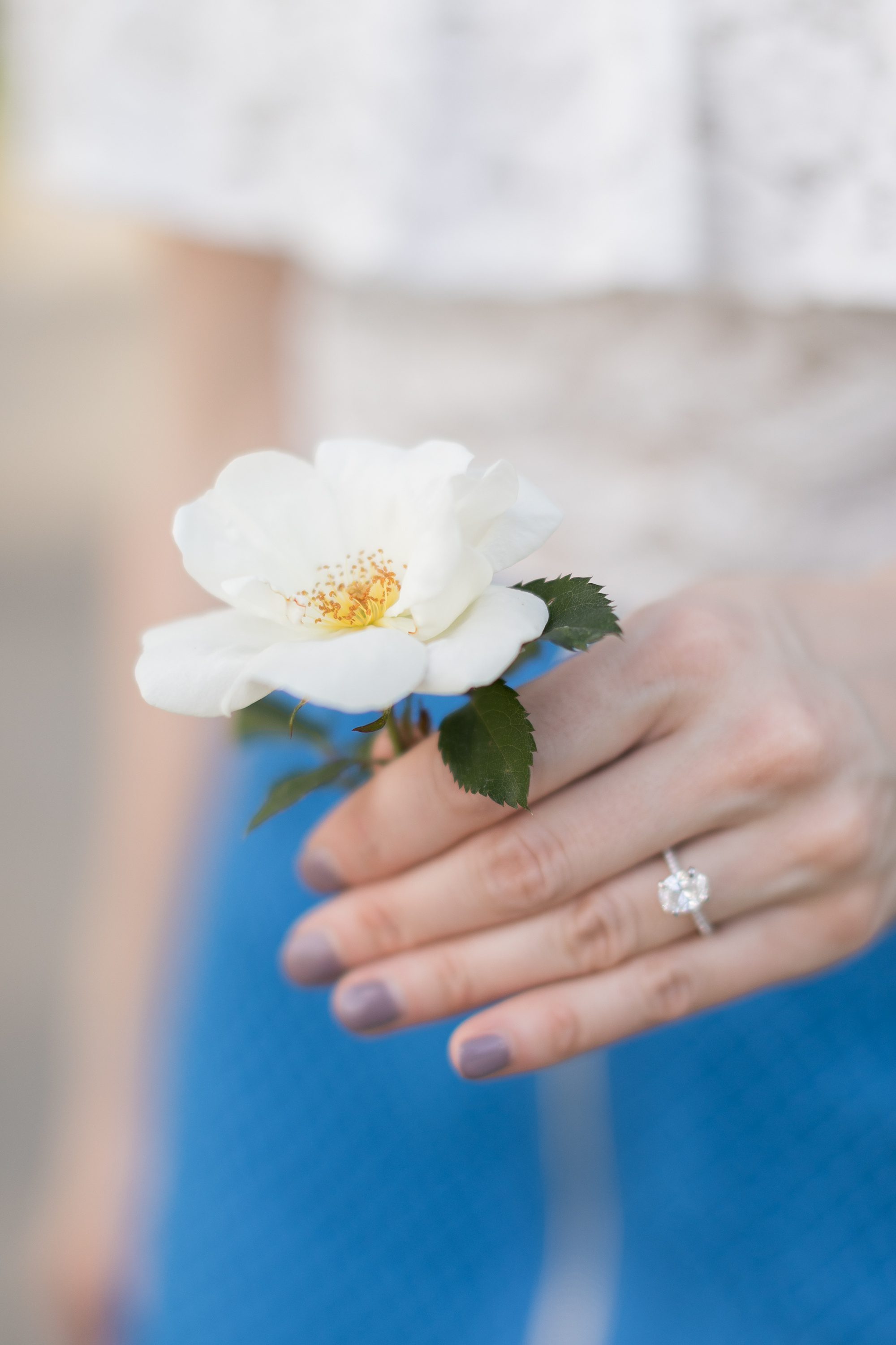 Elegant Denver Engagement Pictures, Denver Engagement Photographer, Amy Caroline Photography 