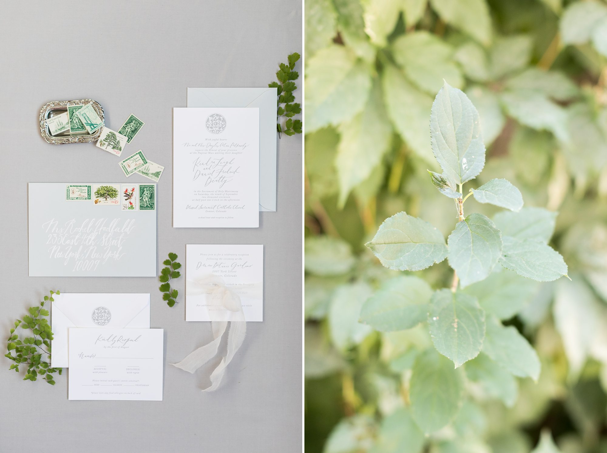 Denver Botanic Gardens Wedding, Greenery Inspired Wedding, Classic and Elegant Calligraphy Wedding Invitation, by Amy Caroline Photography 