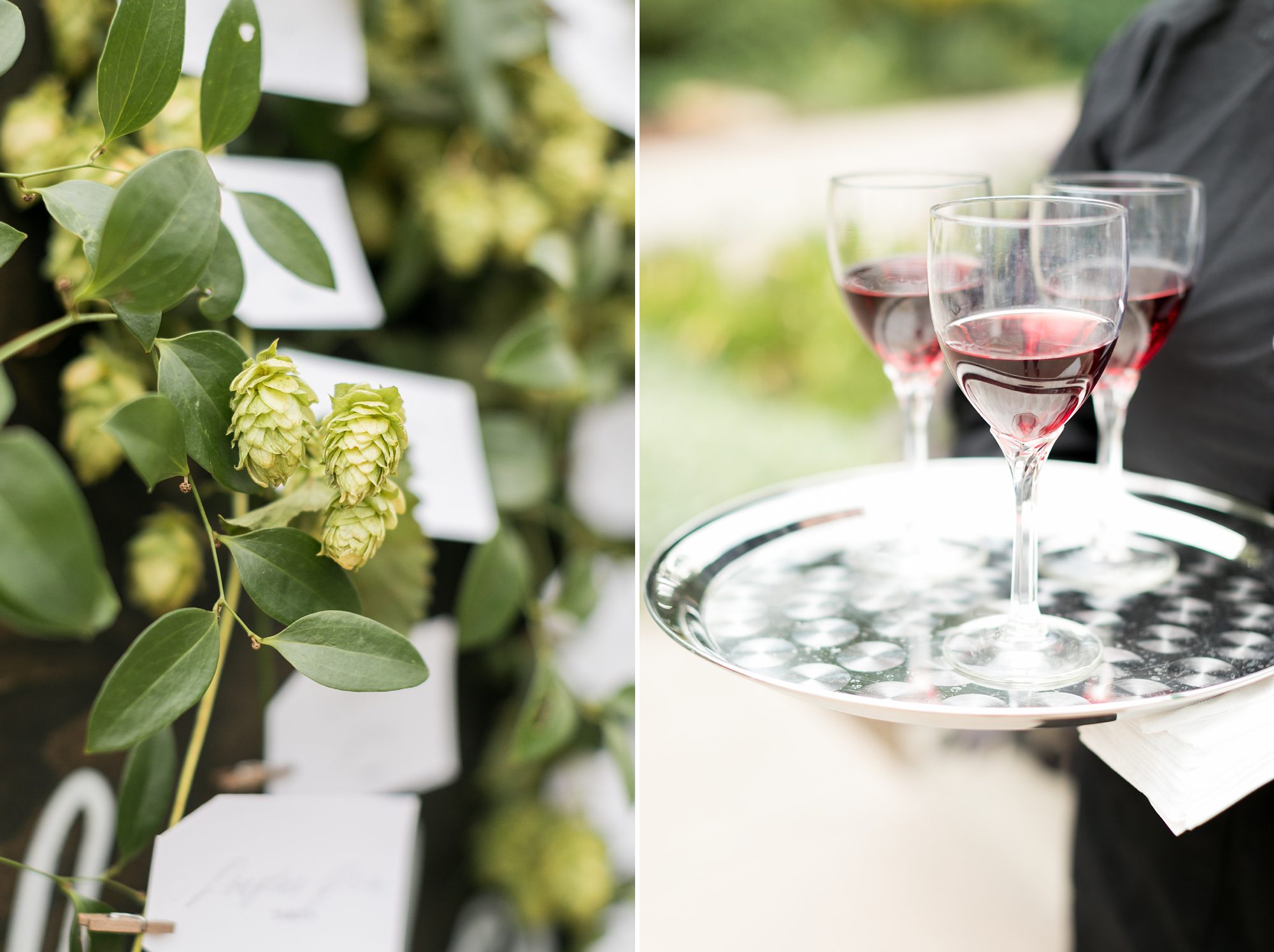 Denver Botanic Gardens Wedding Cocktail hour, Elegant Denver Garden Wedding, Amy Caroline Photography 