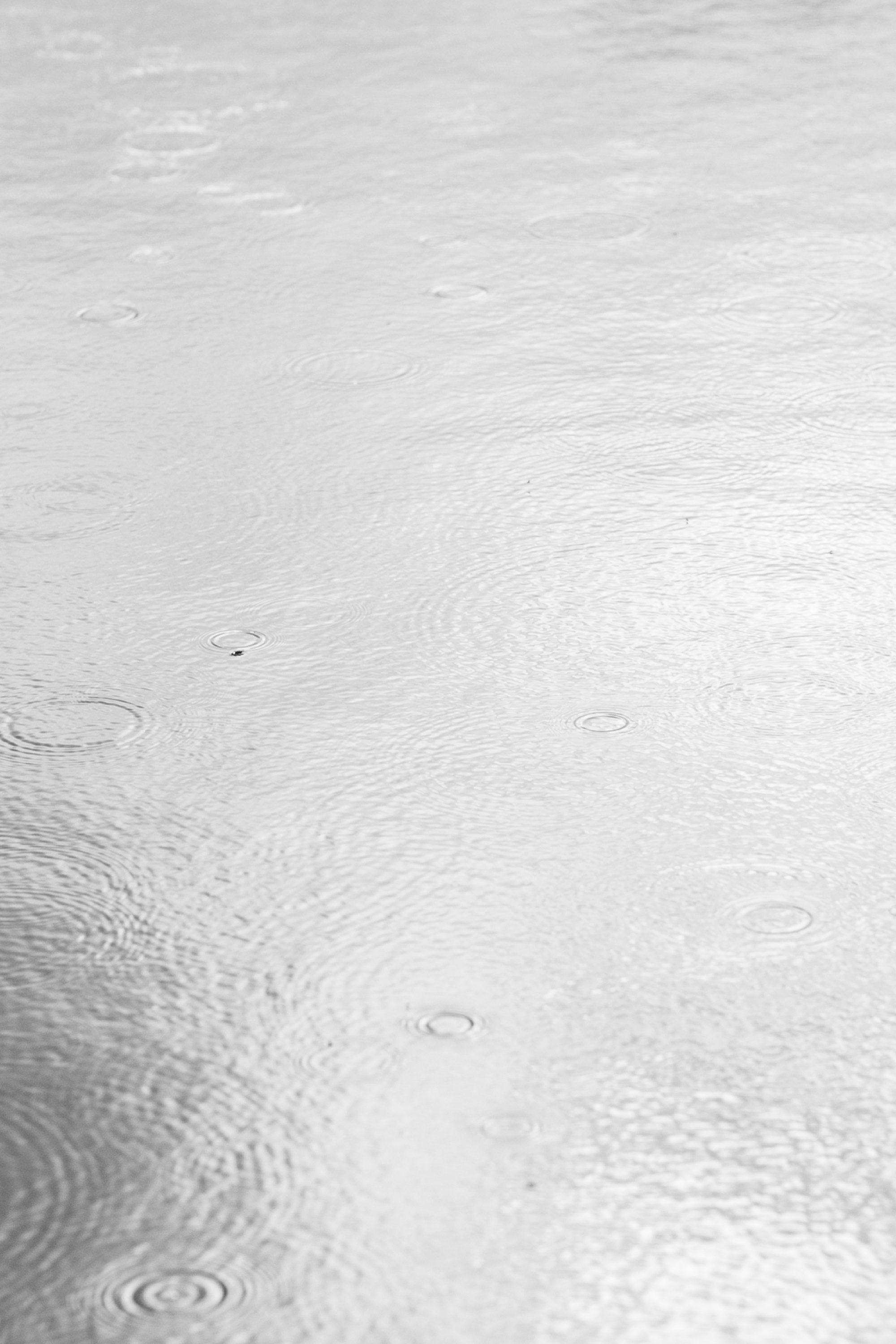 Elegant Vail Golf Club Mountain Wedding, Amy Caroline Photography